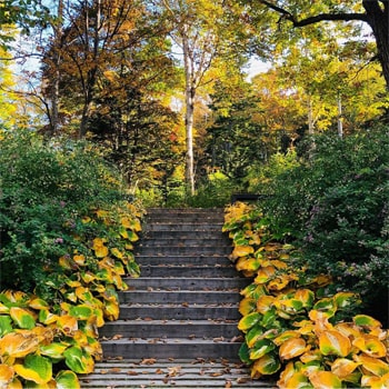 Daisetsu Mori-no Garden｜FRATELLO DI MIKUNI フラテッロ・ディ